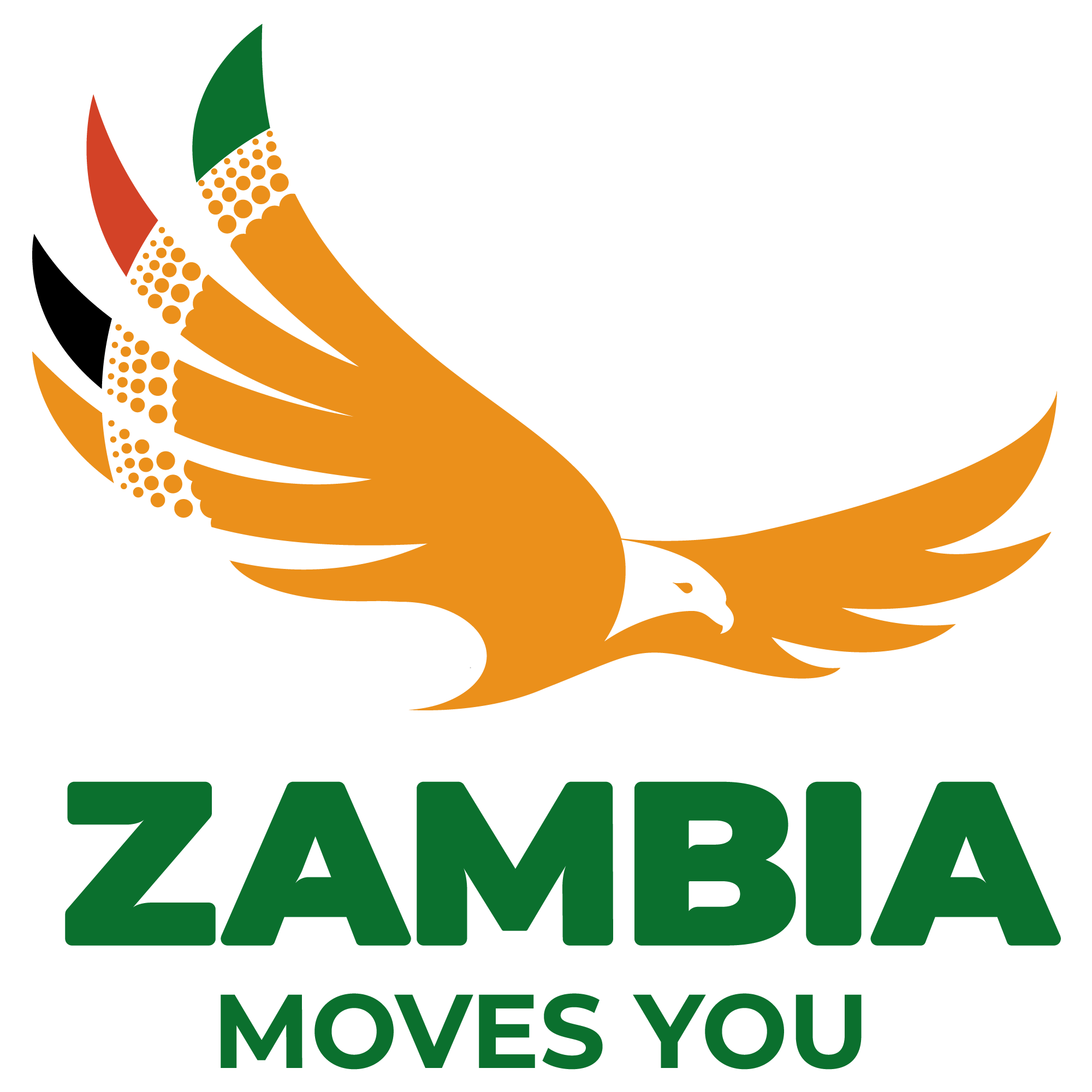 Brand Zambia - Partner Istituzionale